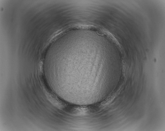 X0000085760071200703301439