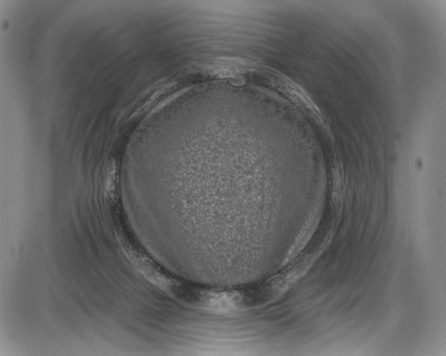 X0000085760073200703301439