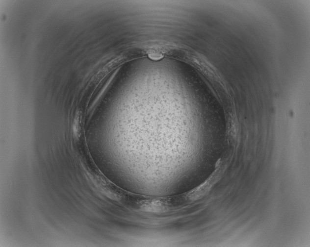 X0000085760074200703301439