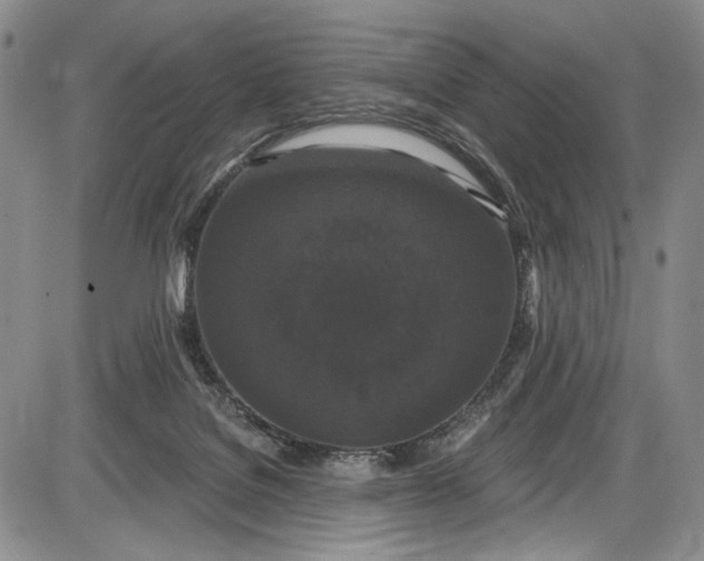 X0000085760076200703301439