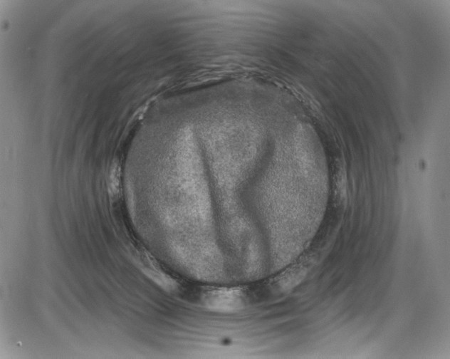 X0000085760081200703301439