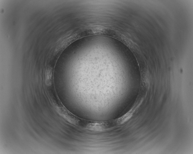 X0000085760082200703301439