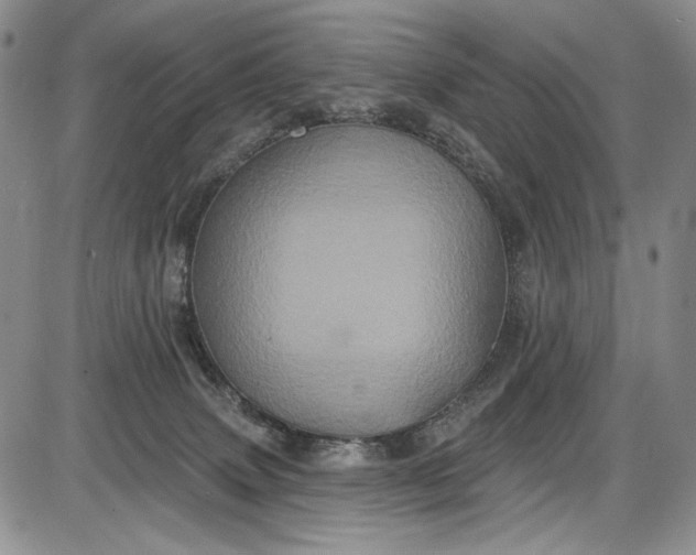 X0000085760083200703301439