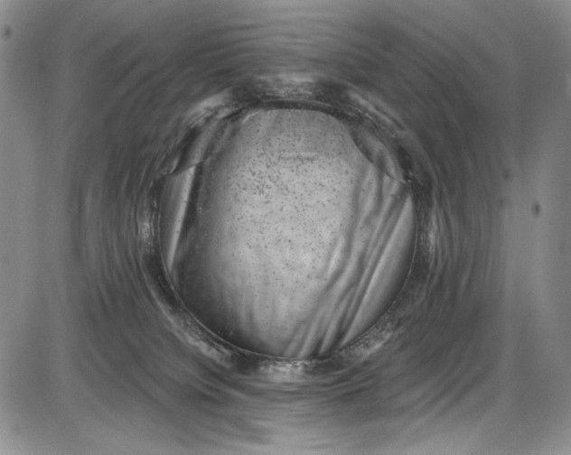 X0000085760084200703301439