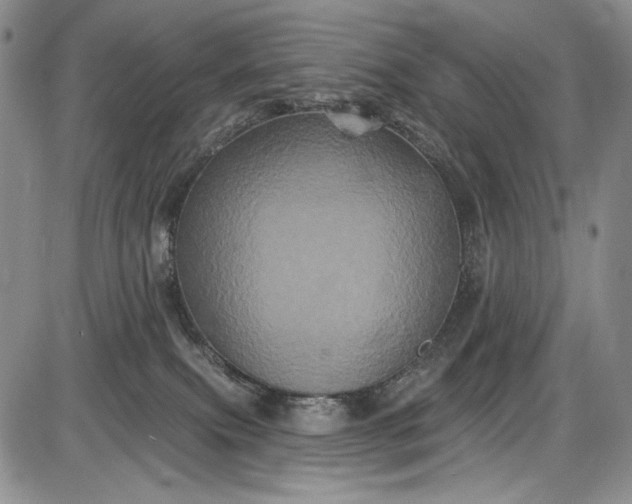 X0000085760087200703301439