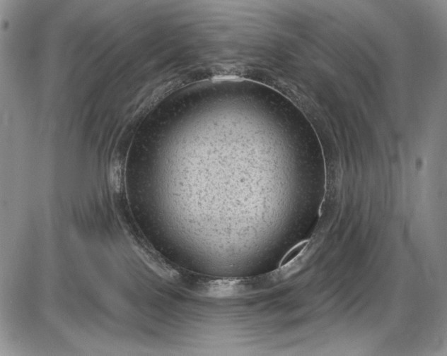 X0000085760090200703301439