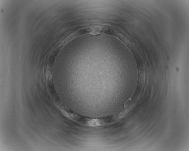X0000085760091200703301439