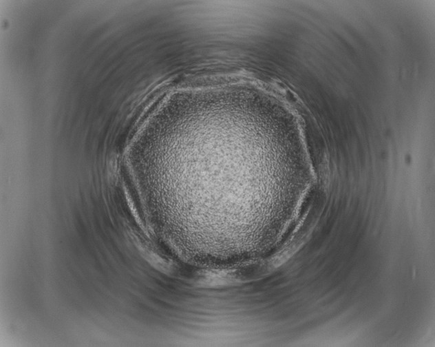 X0000085760093200703301439