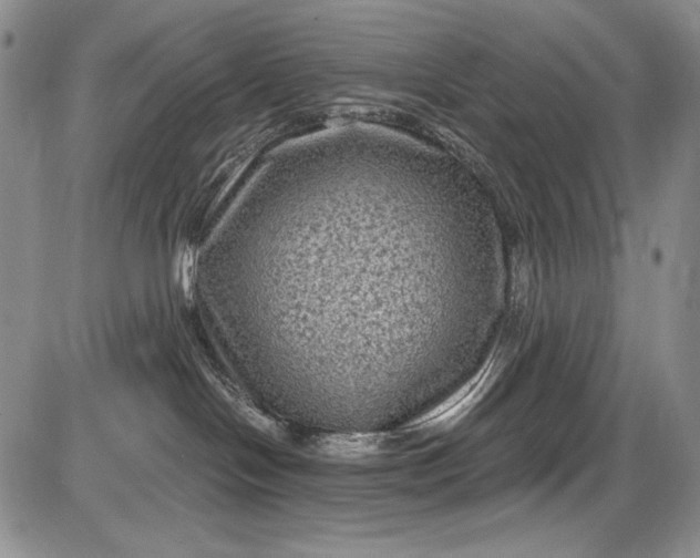 X0000085760094200703301439