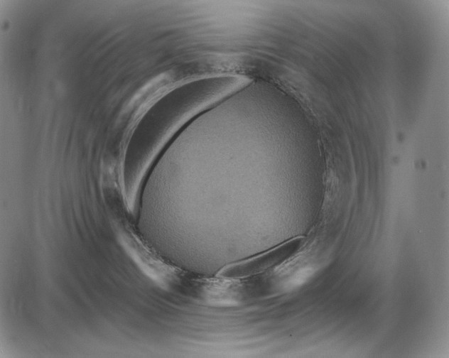 X0000085760096200703301439