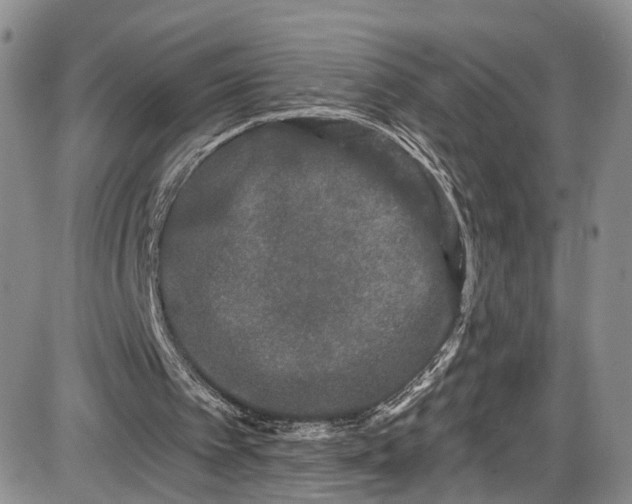 X0000085760097200703301438