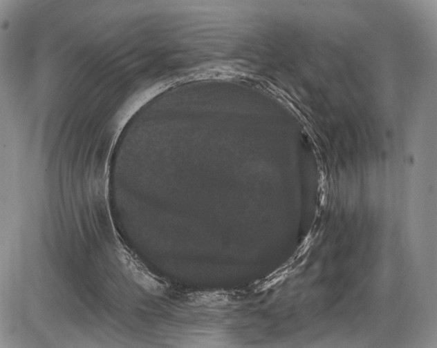 X0000085760100200703301438