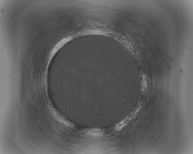 X0000085760104200703301438