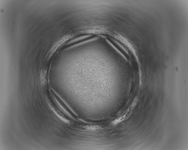 X0000085760105200703301438