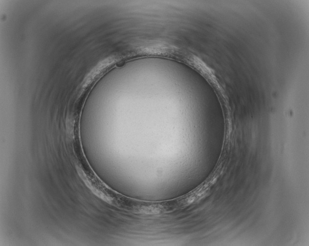 X0000085760106200703301438