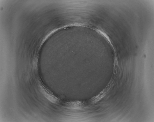 X0000085760108200703301438