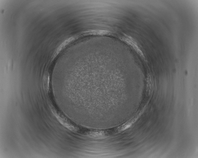 X0000085760110200703301438