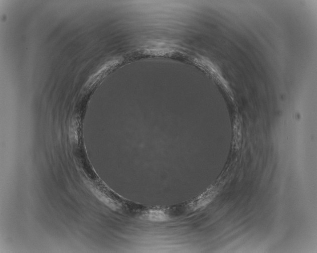 X0000085760114200703301438