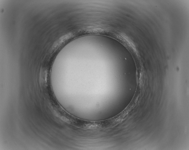 X0000085760115200703301438