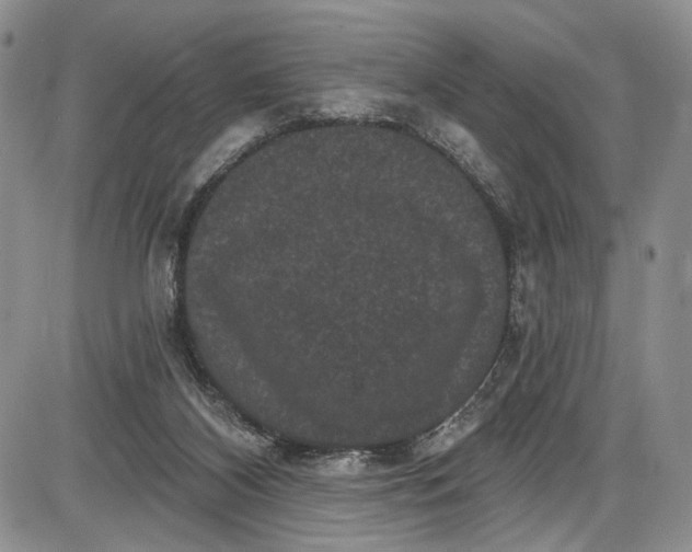 X0000085760116200703301438