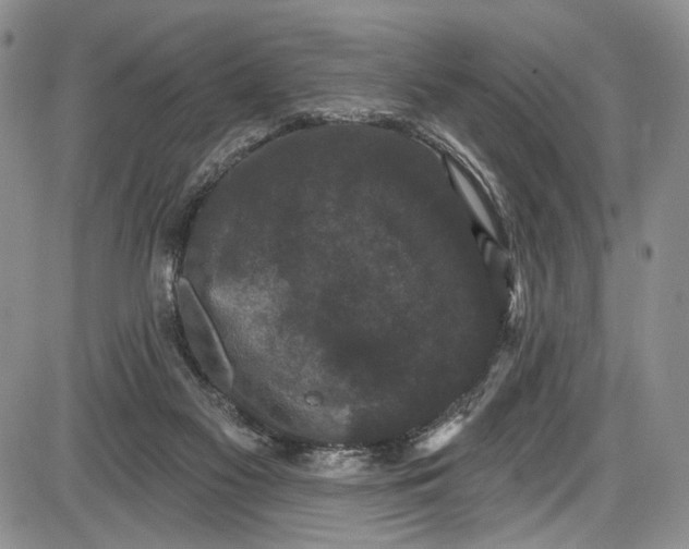 X0000085760117200703301438