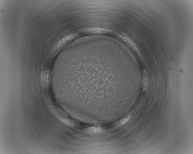 X0000085760119200703301438
