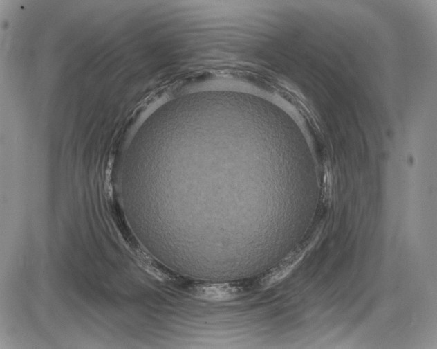 X0000085760121200703301438