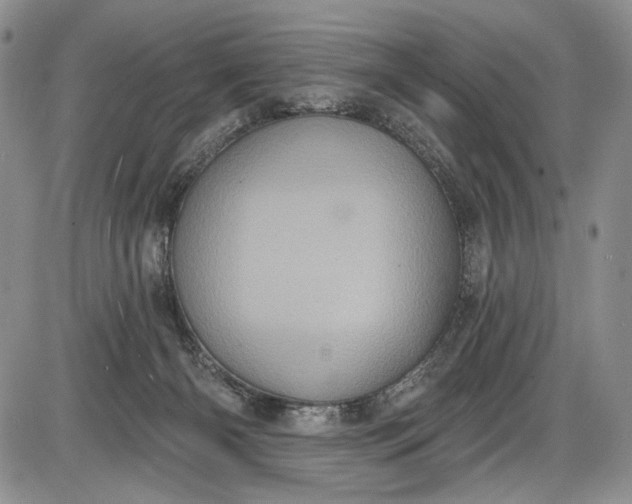 X0000085760126200703301438