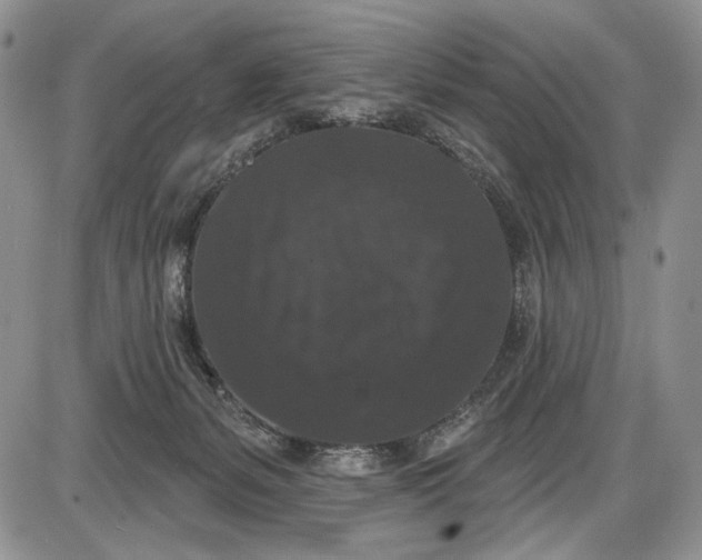 X0000085760127200703301438