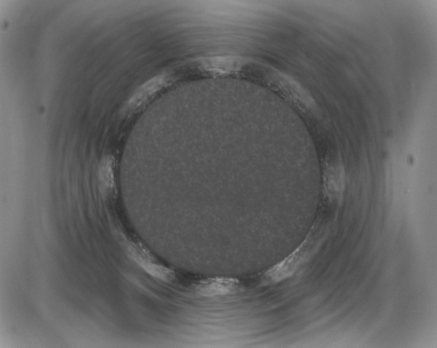X0000085760128200703301438