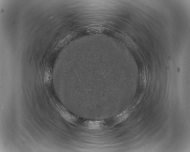X0000085760134200703301438