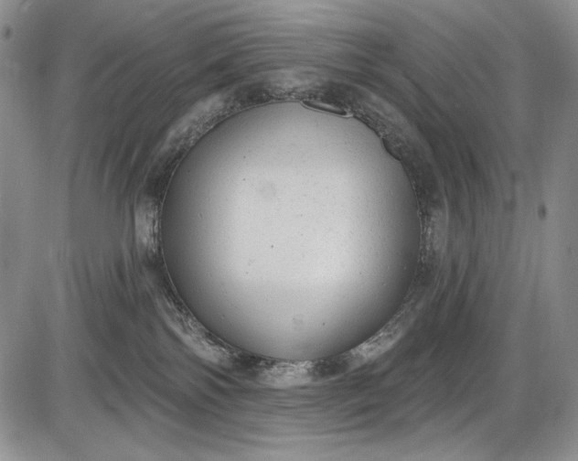 X0000085760138200703301438