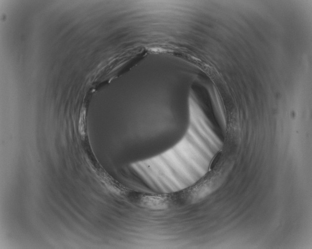 X0000085760139200703301438
