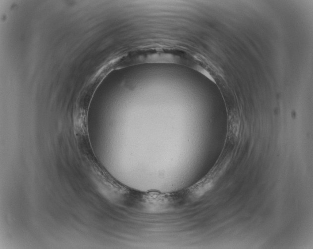X0000085760141200703301437