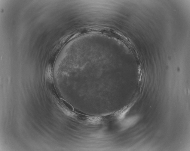 X0000085760143200703301437