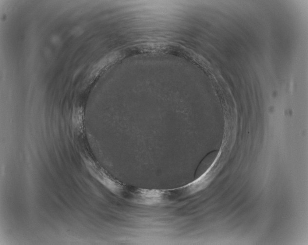 X0000085760144200703301437
