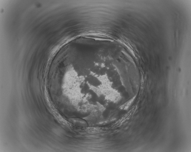 X0000085760145200703301437