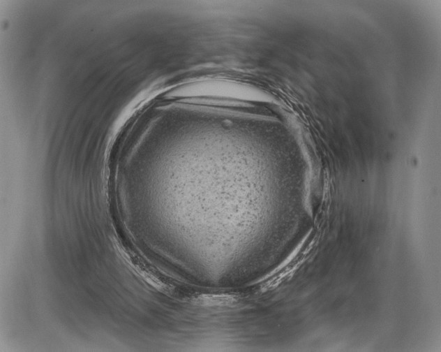 X0000085760150200703301437