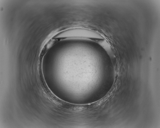 X0000085760152200703301437