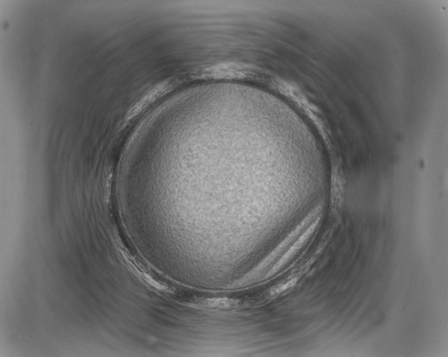X0000085760153200703301437