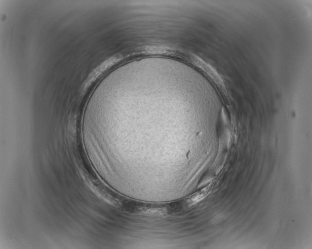 X0000085760155200703301437