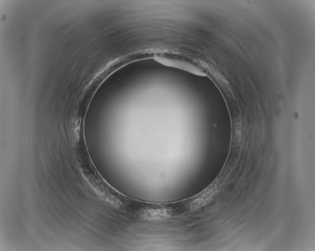 X0000085760160200703301437