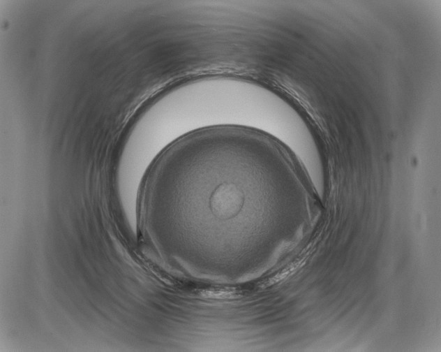 X0000085760164200703301437