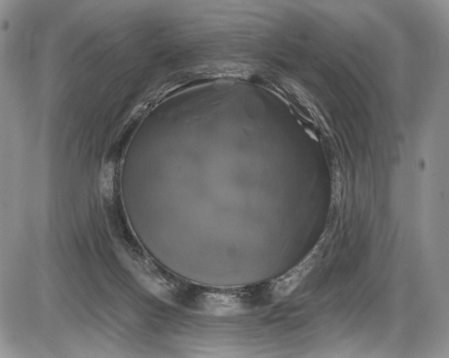 X0000085760167200703301437