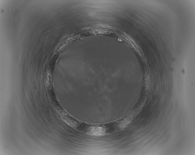 X0000085760169200703301437