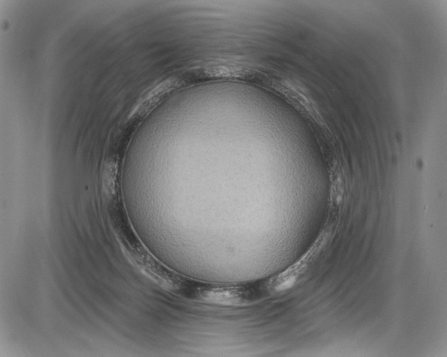 X0000085760171200703301437