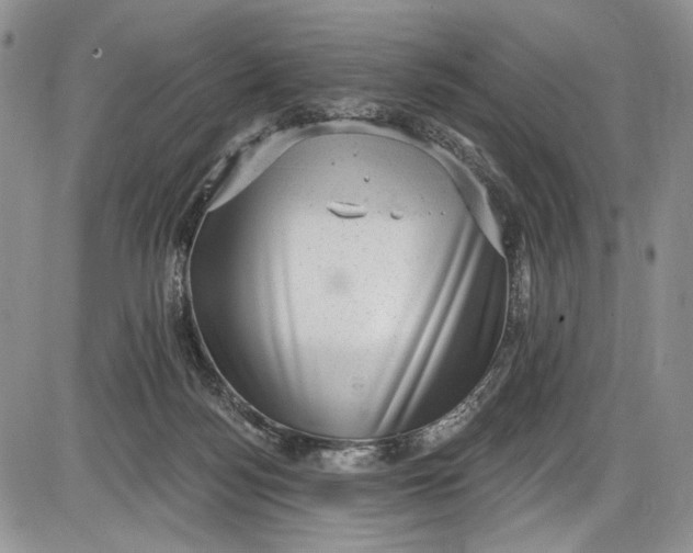 X0000085760172200703301437