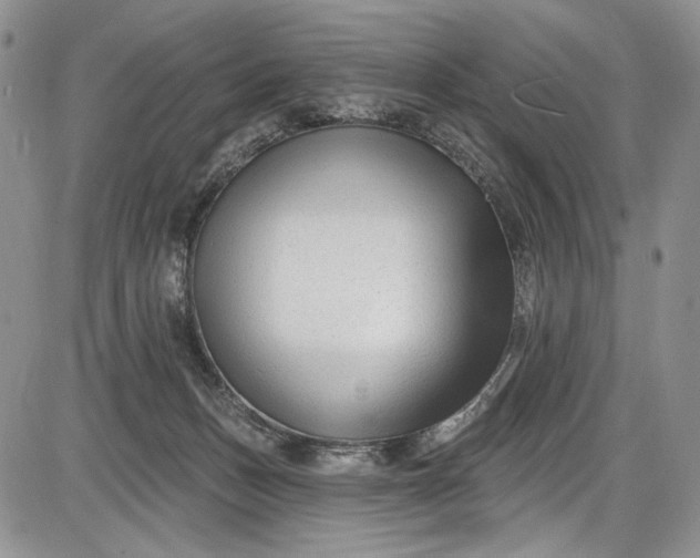 X0000085760175200703301437
