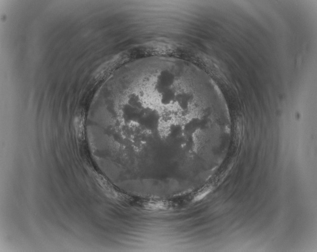 X0000085760177200703301437