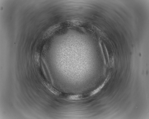 X0000085760178200703301437